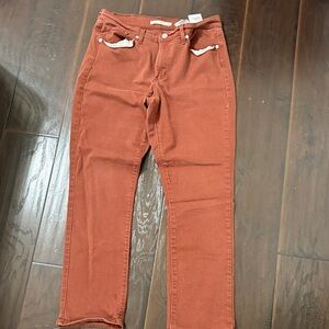 Levi's Men's Slim Jeans in Rust